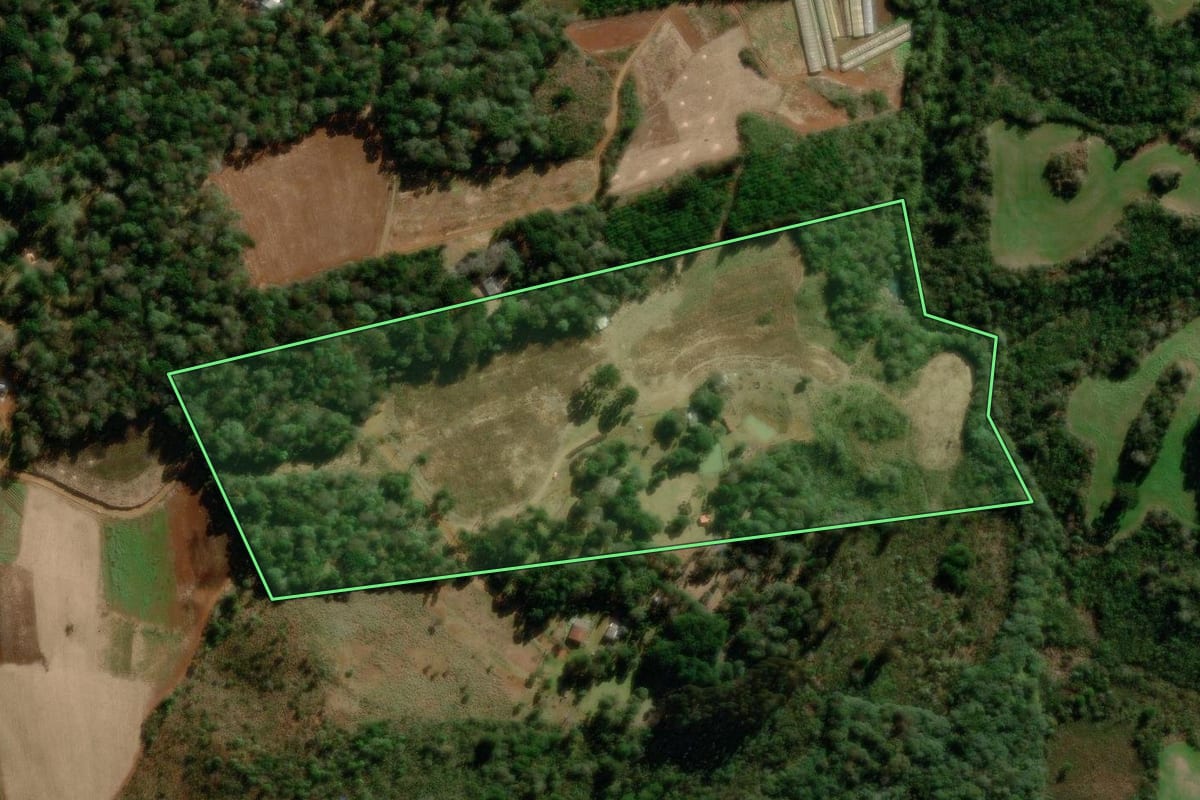 Imagem de satélite do imóvel rural em Guarapuava (PR), com o contorno declarado no CAR desenhado por cima.