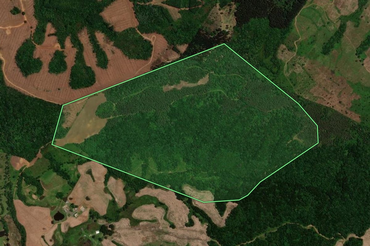 Imagem de satélite do imóvel rural em Guarapuava (PR), com o contorno declarado no CAR desenhado por cima.