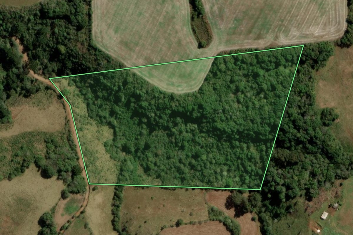 Imagem de satélite do imóvel rural em Guarapuava (PR), com o contorno declarado no CAR desenhado por cima.