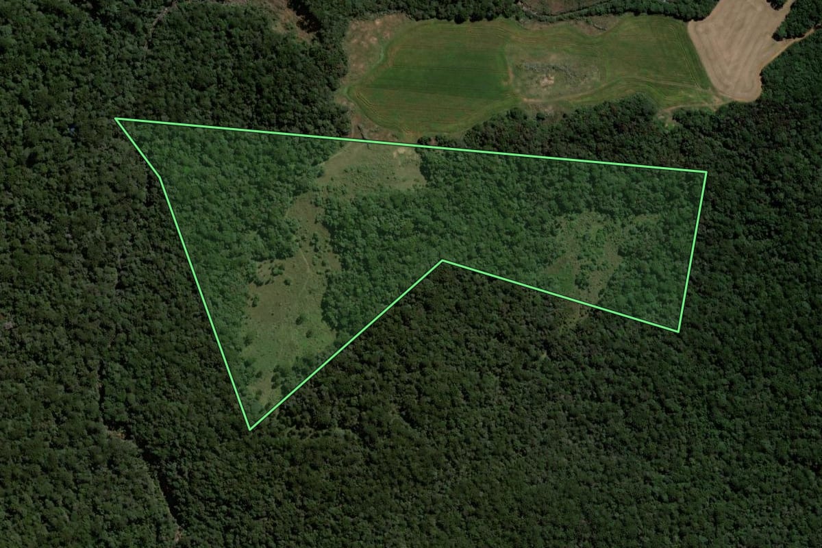 Imagem de satélite do imóvel rural em Guarapuava (PR), com o contorno declarado no CAR desenhado por cima.