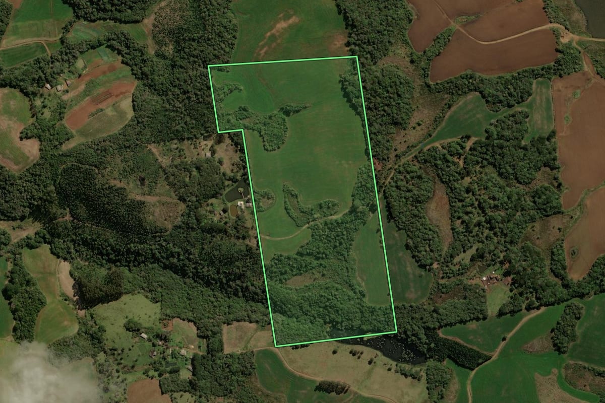 Imagem de satélite do imóvel rural em Guarapuava (PR), com o contorno declarado no CAR desenhado por cima.