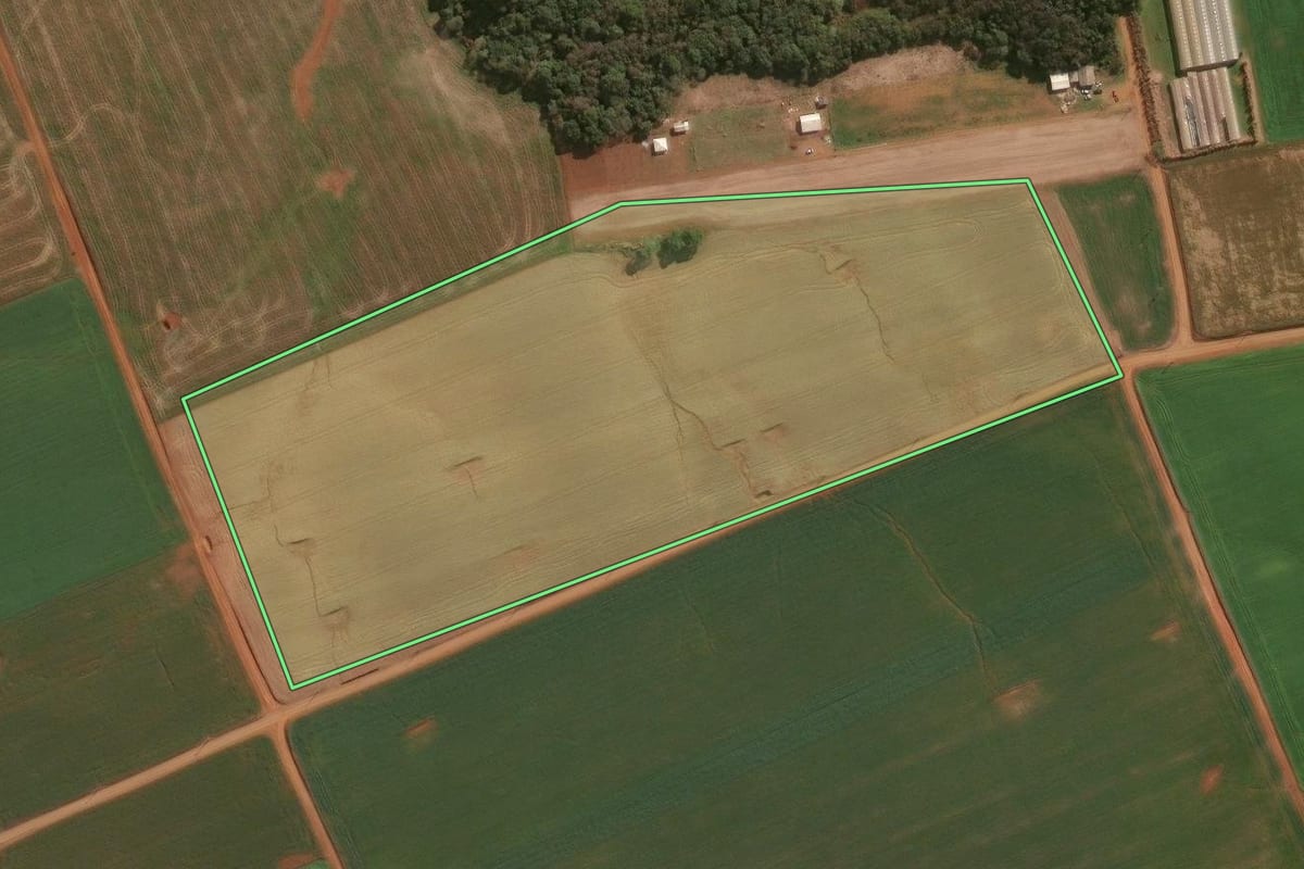 Imagem de satélite do imóvel rural em Guarapuava (PR), com o contorno declarado no CAR desenhado por cima.