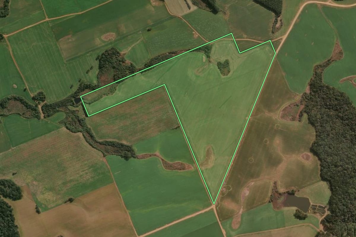 Imagem de satélite do imóvel rural em Guarapuava (PR), com o contorno declarado no CAR desenhado por cima.