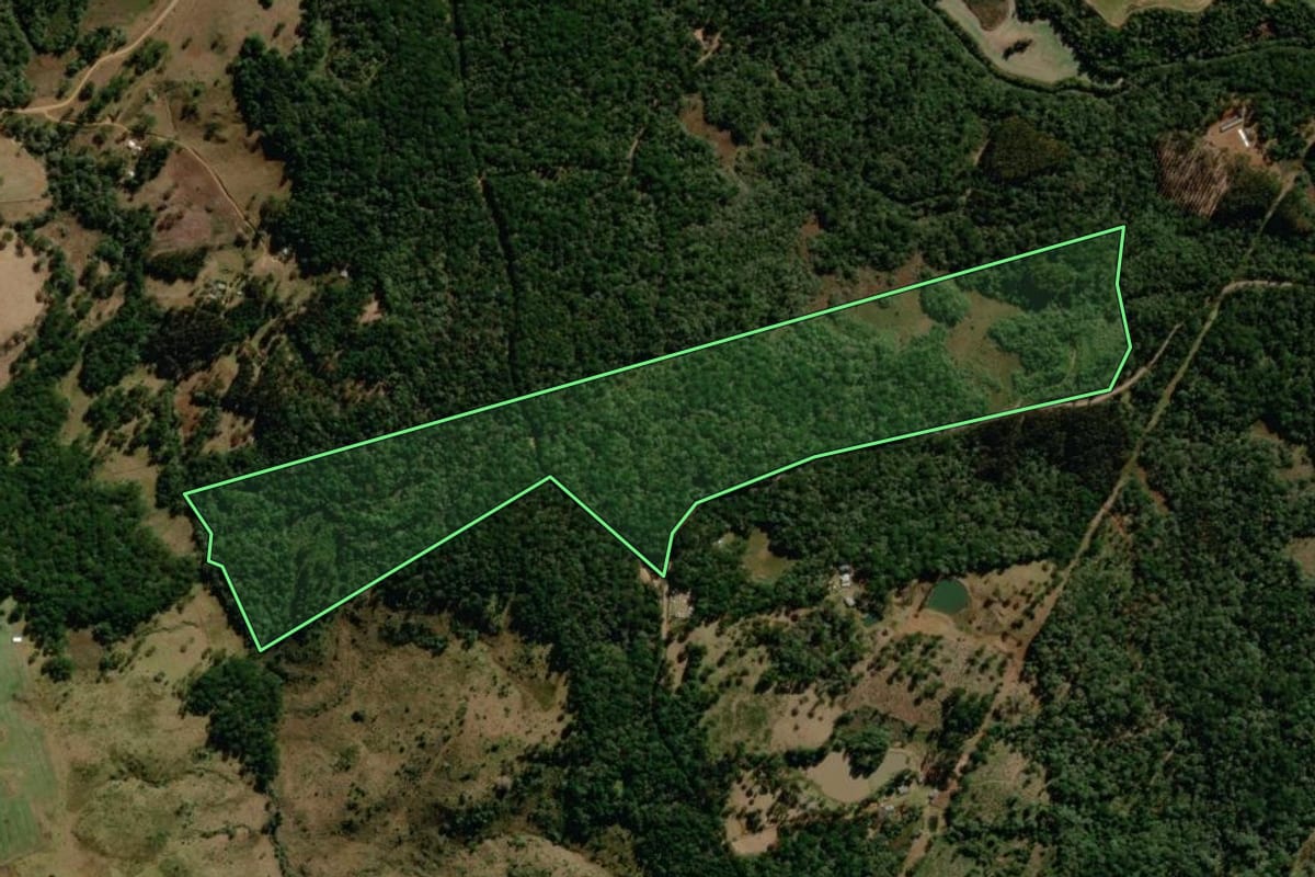 Imagem de satélite do imóvel rural em Guarapuava (PR), com o contorno declarado no CAR desenhado por cima.