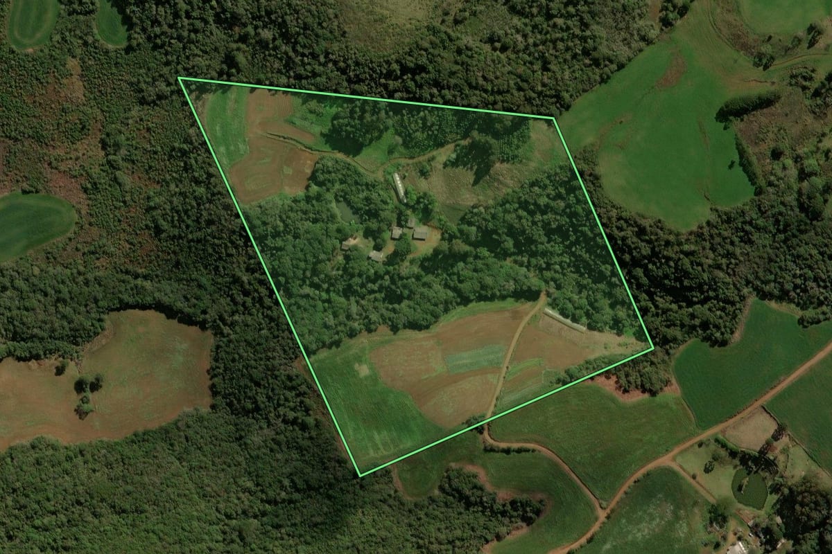 Imagem de satélite do imóvel rural em Guarapuava (PR), com o contorno declarado no CAR desenhado por cima.