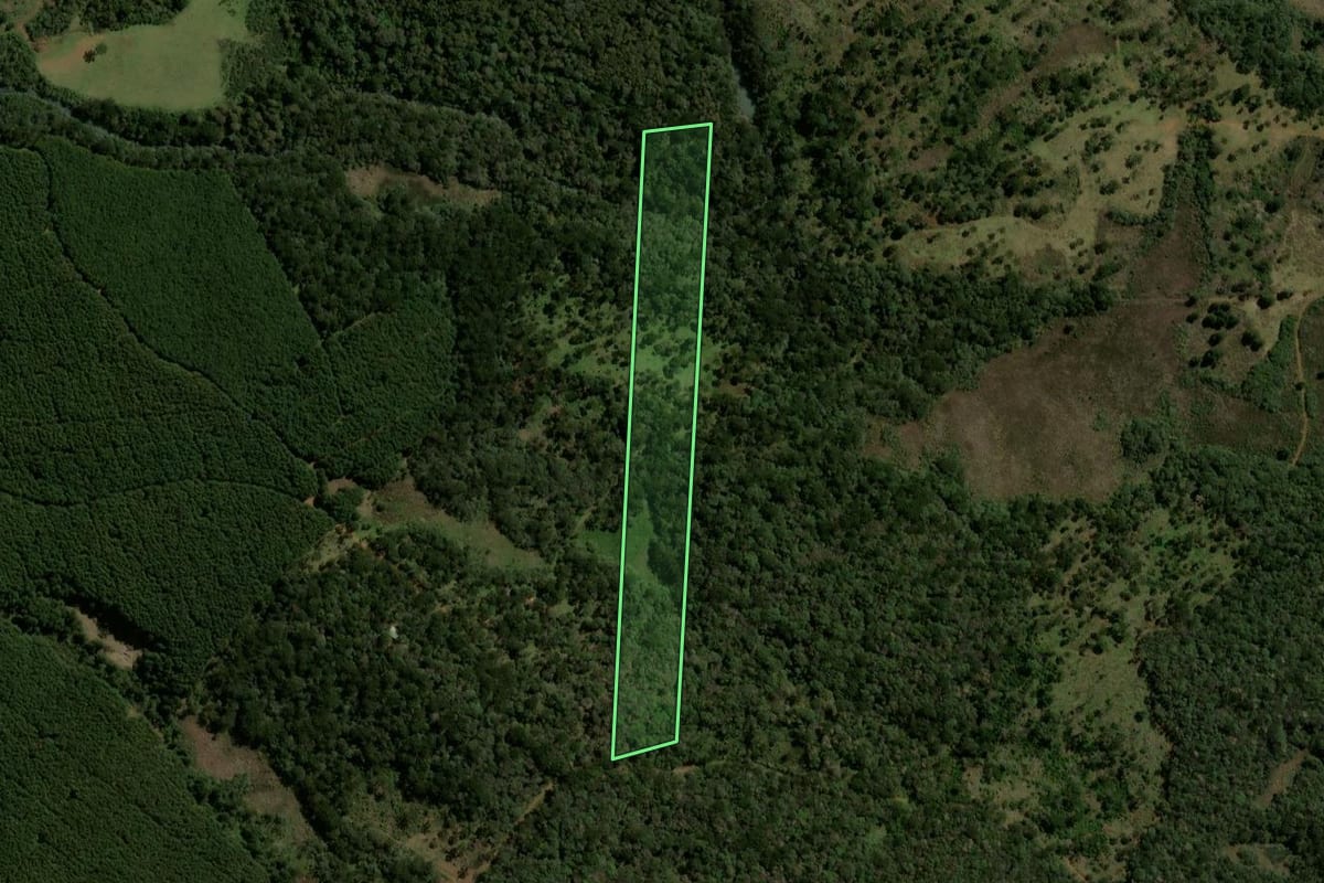 Imagem de satélite do imóvel rural em Guarapuava (PR), com o contorno declarado no CAR desenhado por cima.