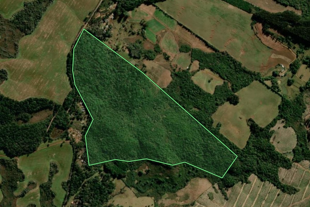 Imagem de satélite do imóvel rural em Guarapuava (PR), com o contorno declarado no CAR desenhado por cima.