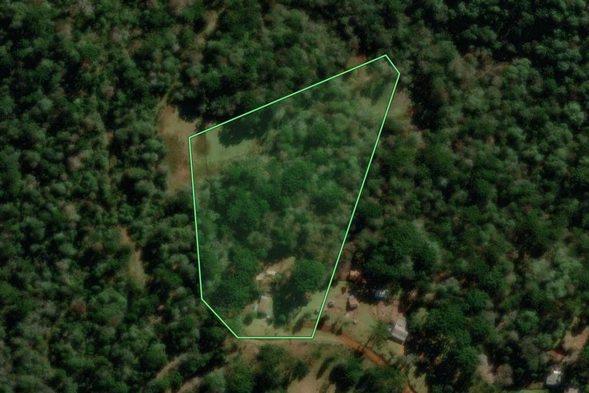 Imagem de satélite do imóvel rural em Guarapuava (PR), com o contorno declarado no CAR desenhado por cima.