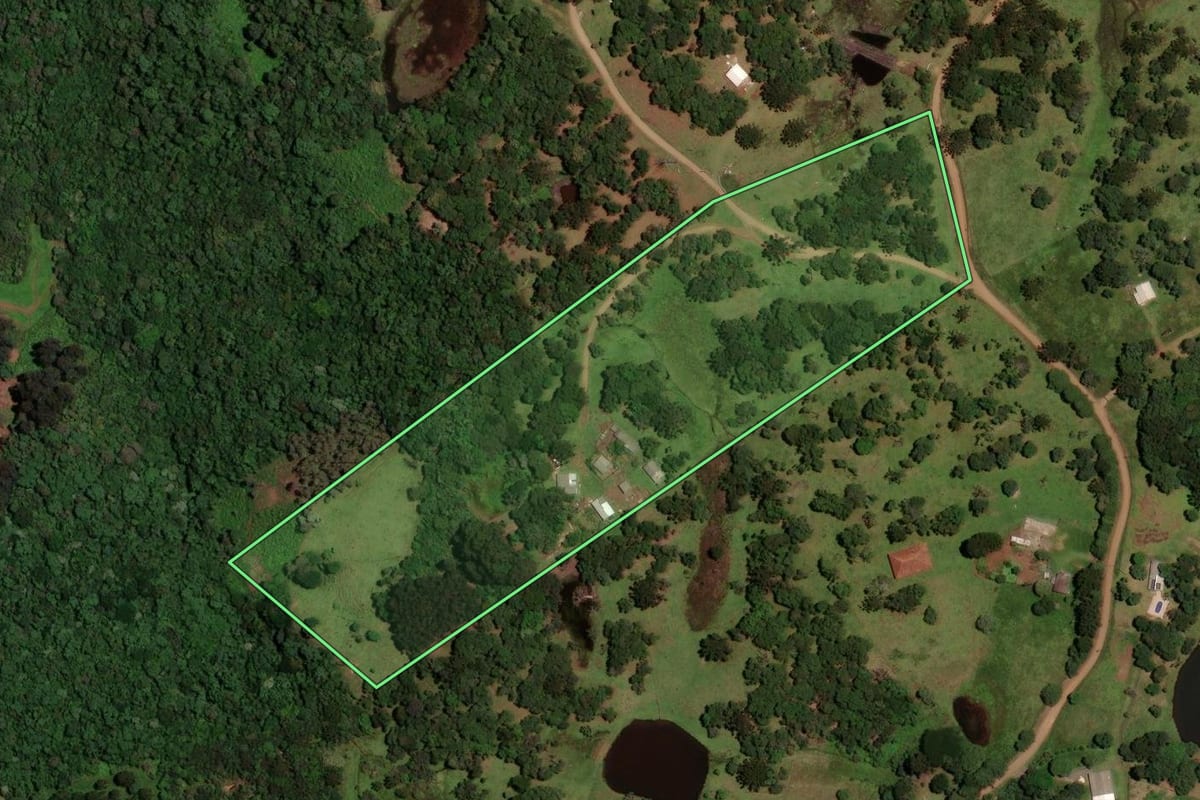 Imagem de satélite do imóvel rural em Guarapuava (PR), com o contorno declarado no CAR desenhado por cima.