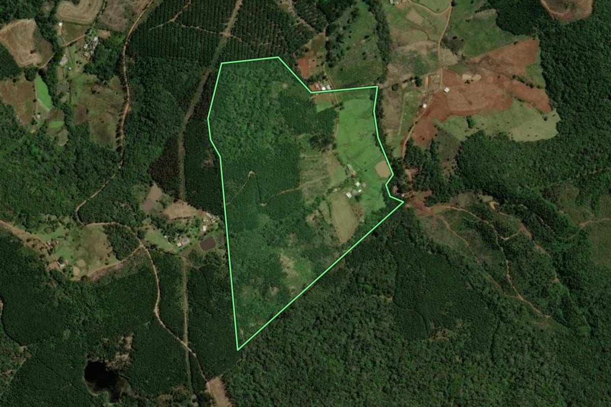 Imagem de satélite do imóvel rural em Guarapuava (PR), com o contorno declarado no CAR desenhado por cima.