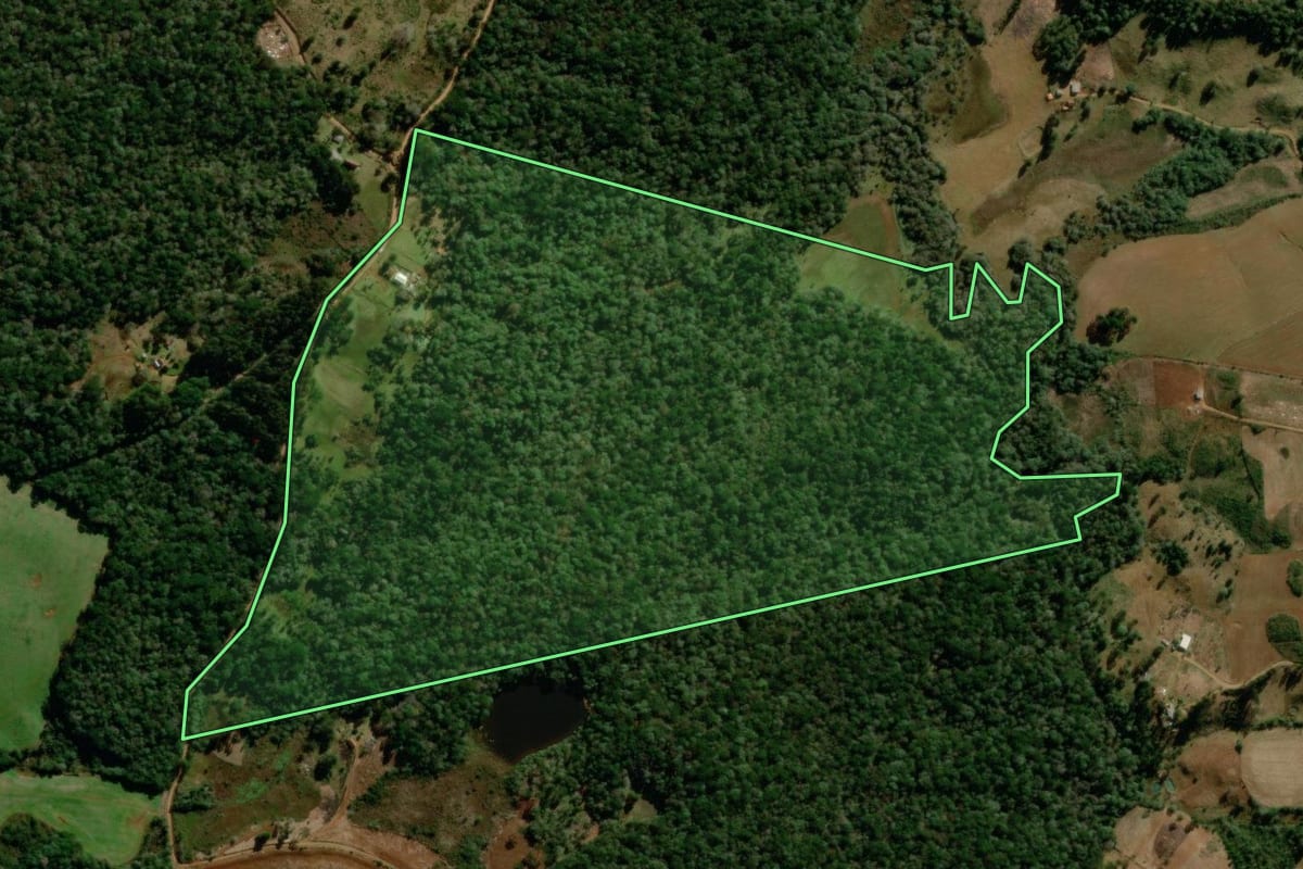 Imagem de satélite do imóvel rural em Guarapuava (PR), com o contorno declarado no CAR desenhado por cima.
