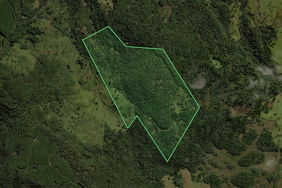 Imagem de satélite do imóvel rural em Guarapuava (PR), com o contorno declarado no CAR desenhado por cima.