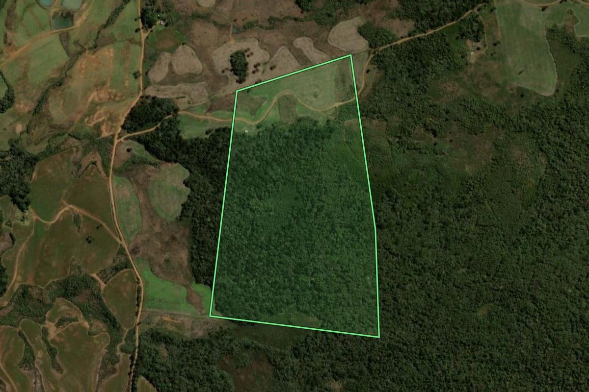Imagem de satélite do imóvel rural em Guarapuava (PR), com o contorno declarado no CAR desenhado por cima.