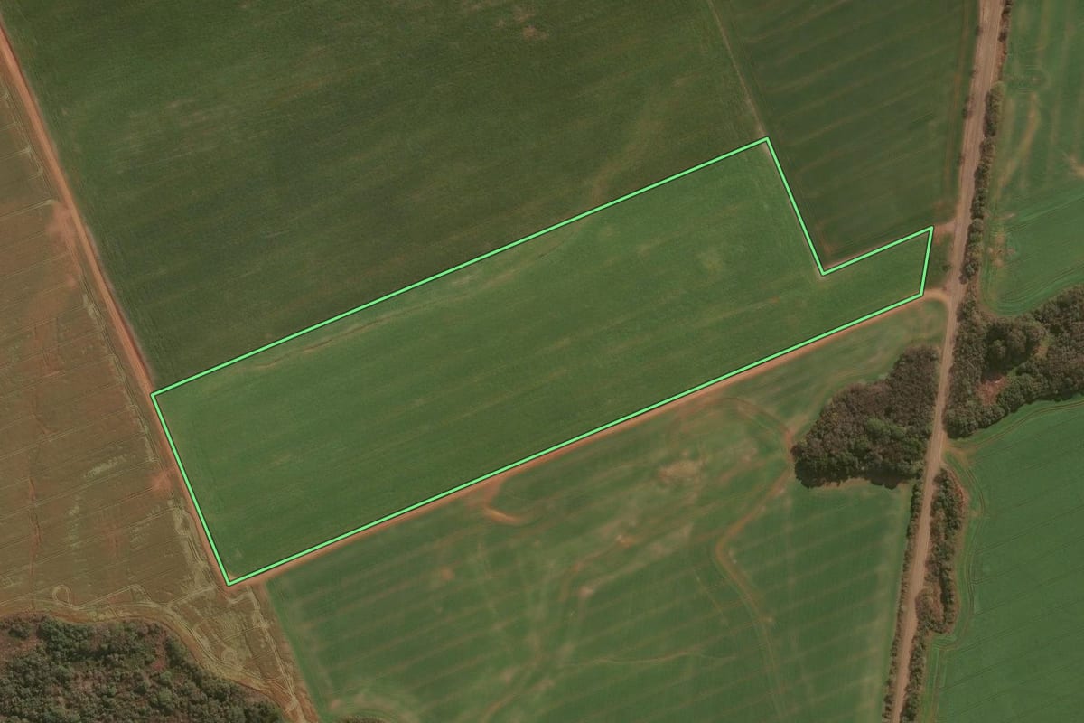 Imagem de satélite do imóvel rural em Guarapuava (PR), com o contorno declarado no CAR desenhado por cima.