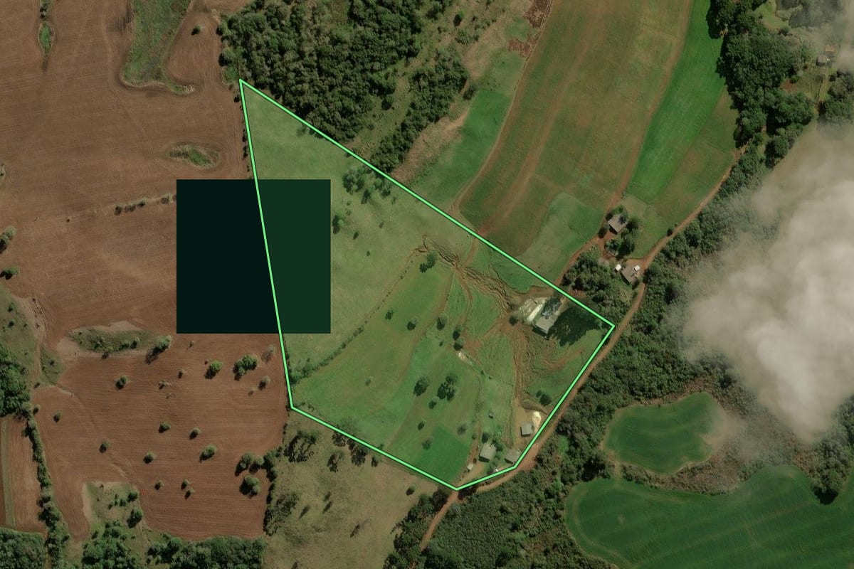 Imagem de satélite do imóvel rural em Guarapuava (PR), com o contorno declarado no CAR desenhado por cima.