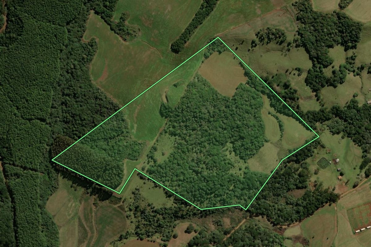 Imagem de satélite do imóvel rural em Guarapuava (PR), com o contorno declarado no CAR desenhado por cima.