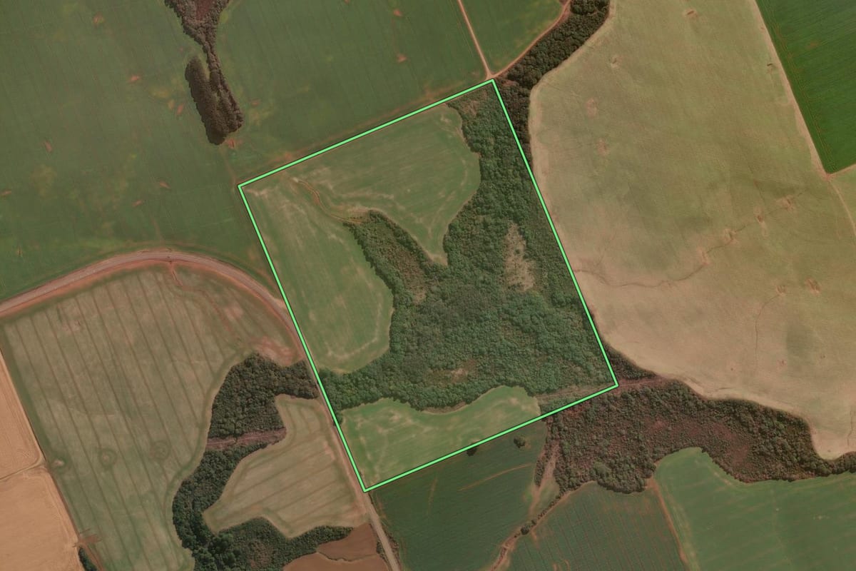 Imagem de satélite do imóvel rural em Guarapuava (PR), com o contorno declarado no CAR desenhado por cima.