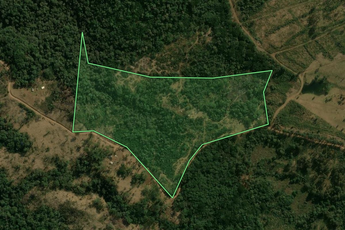 Imagem de satélite do imóvel rural em Guarapuava (PR), com o contorno declarado no CAR desenhado por cima.