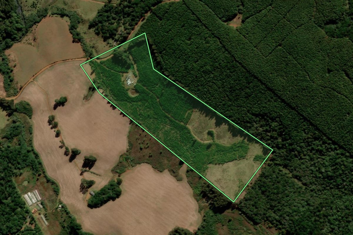 Imagem de satélite do imóvel rural em Guarapuava (PR), com o contorno declarado no CAR desenhado por cima.