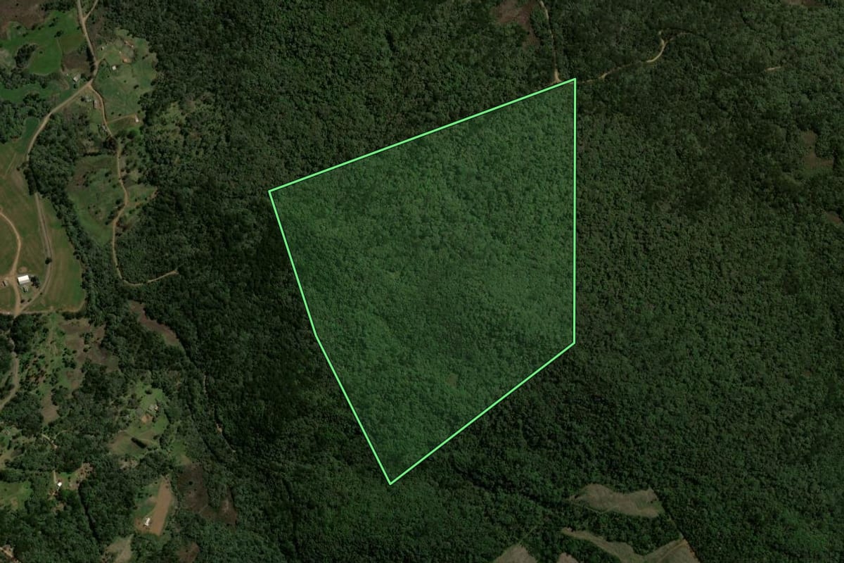 Imagem de satélite do imóvel rural em Guarapuava (PR), com o contorno declarado no CAR desenhado por cima.