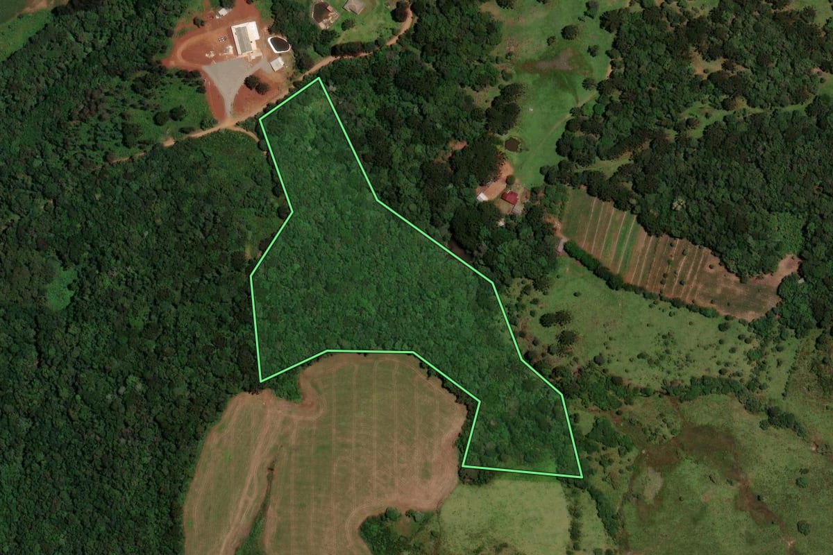 Imagem de satélite do imóvel rural em Guarapuava (PR), com o contorno declarado no CAR desenhado por cima.
