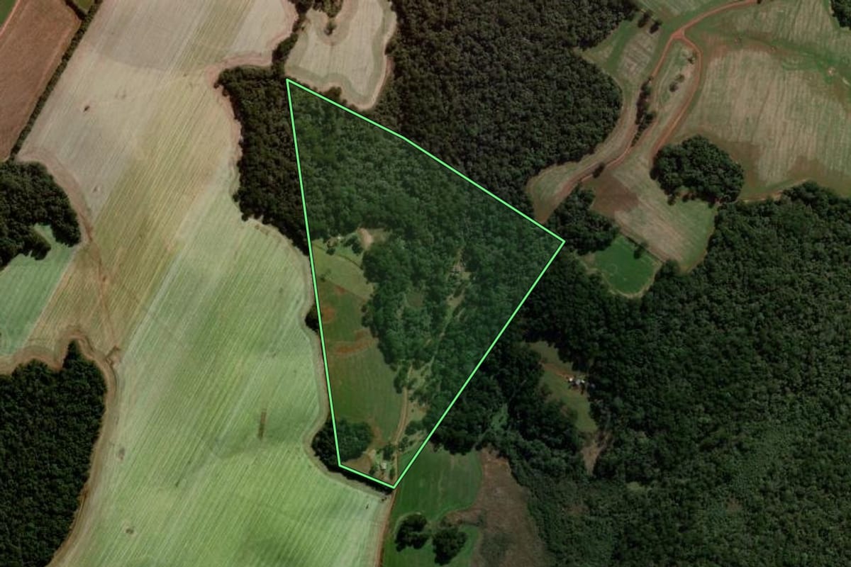 Imagem de satélite do imóvel rural em Guarapuava (PR), com o contorno declarado no CAR desenhado por cima.