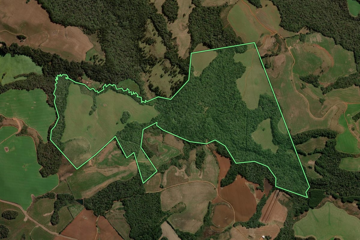 Imagem de satélite do imóvel rural em Guarapuava (PR), com o contorno declarado no CAR desenhado por cima.