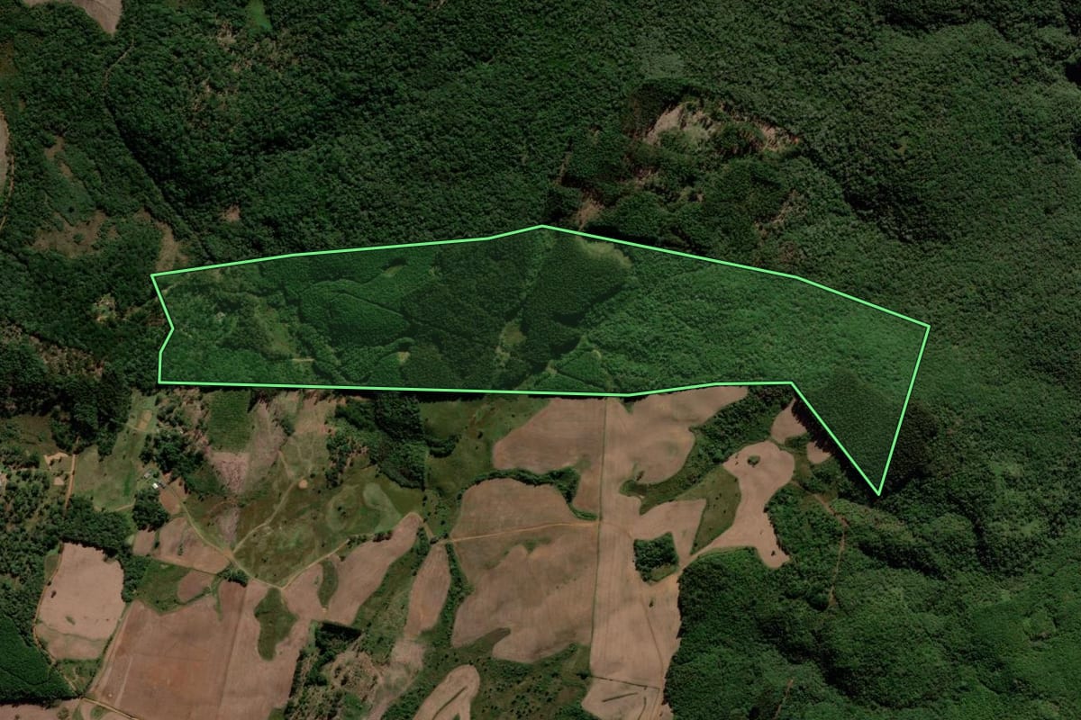 Imagem de satélite do imóvel rural em Guarapuava (PR), com o contorno declarado no CAR desenhado por cima.