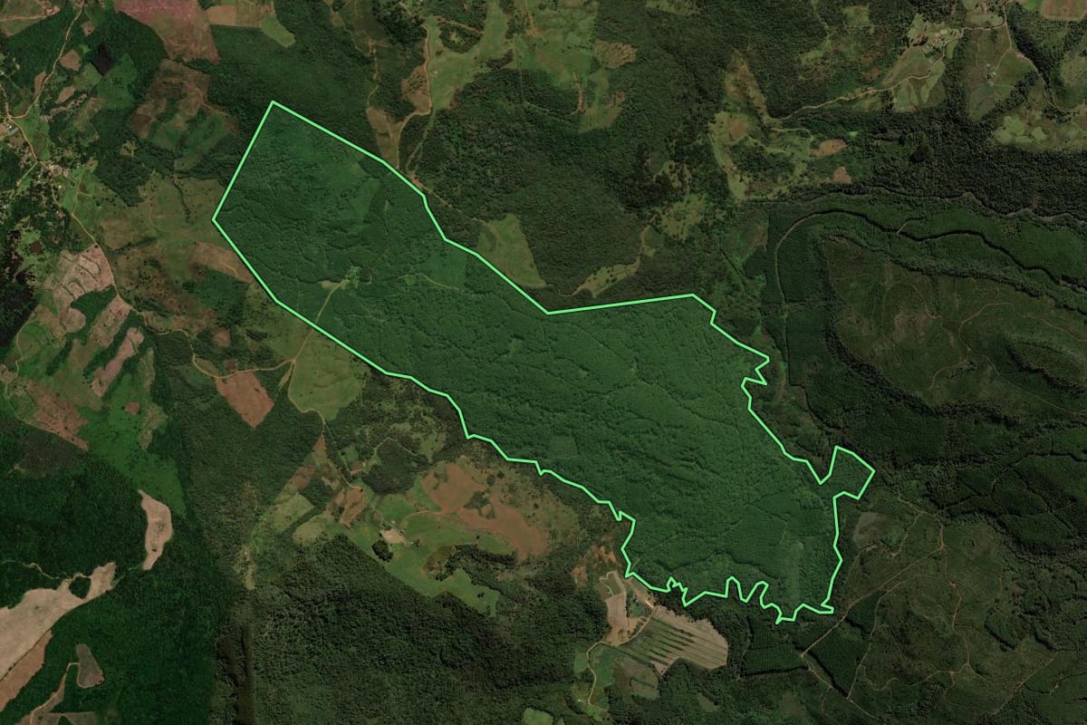 Imagem de satélite do imóvel rural em Guarapuava (PR), com o contorno declarado no CAR desenhado por cima.