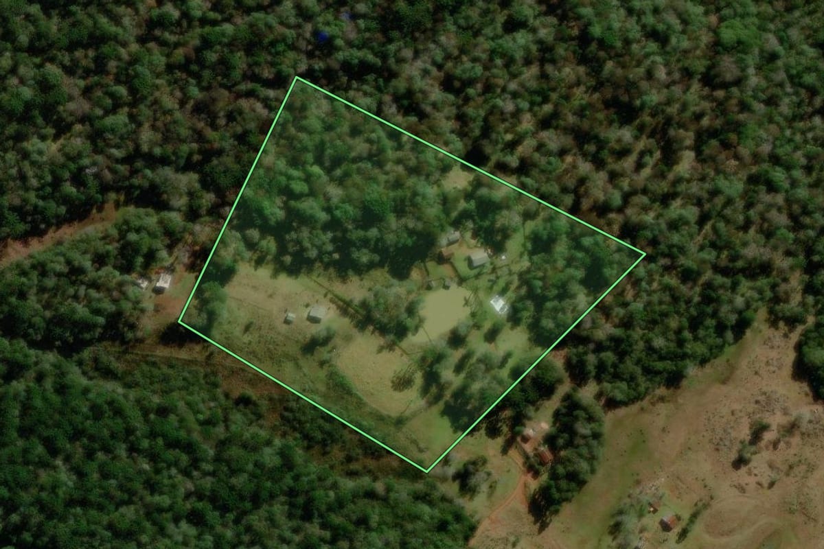 Imagem de satélite do imóvel rural em Guarapuava (PR), com o contorno declarado no CAR desenhado por cima.