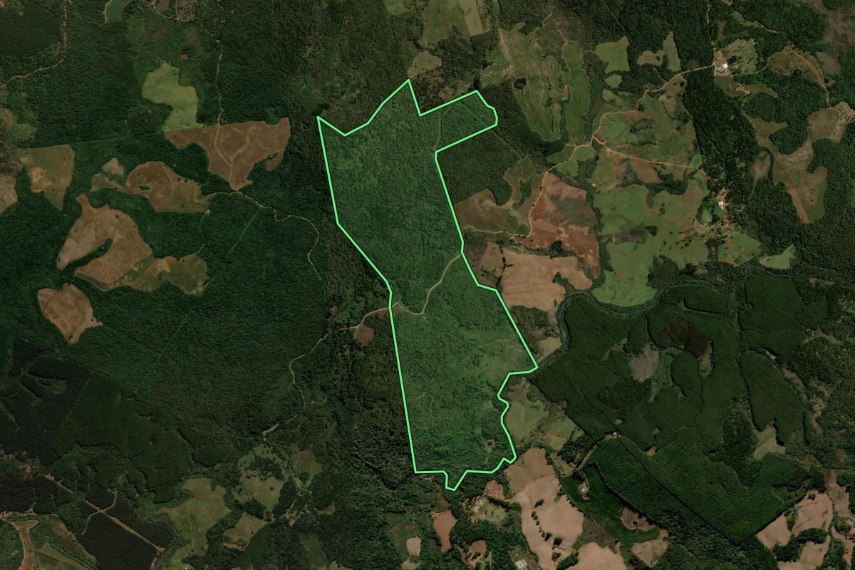 Imagem de satélite do imóvel rural em Guarapuava (PR), com o contorno declarado no CAR desenhado por cima.