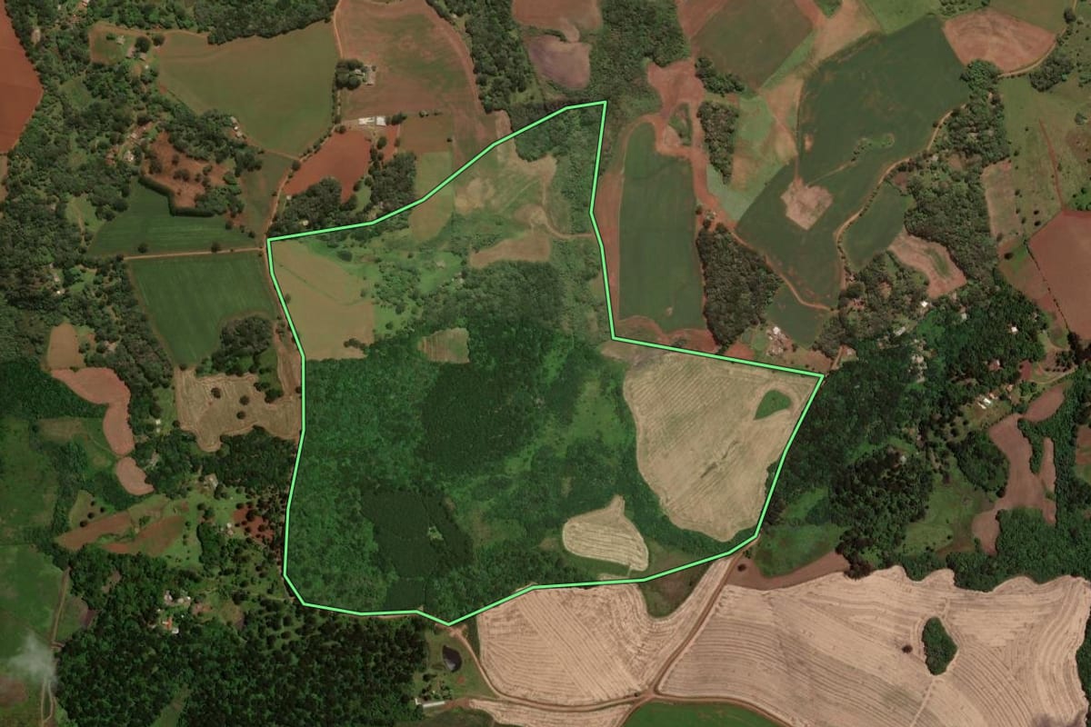Imagem de satélite do imóvel rural em Guarapuava (PR), com o contorno declarado no CAR desenhado por cima.