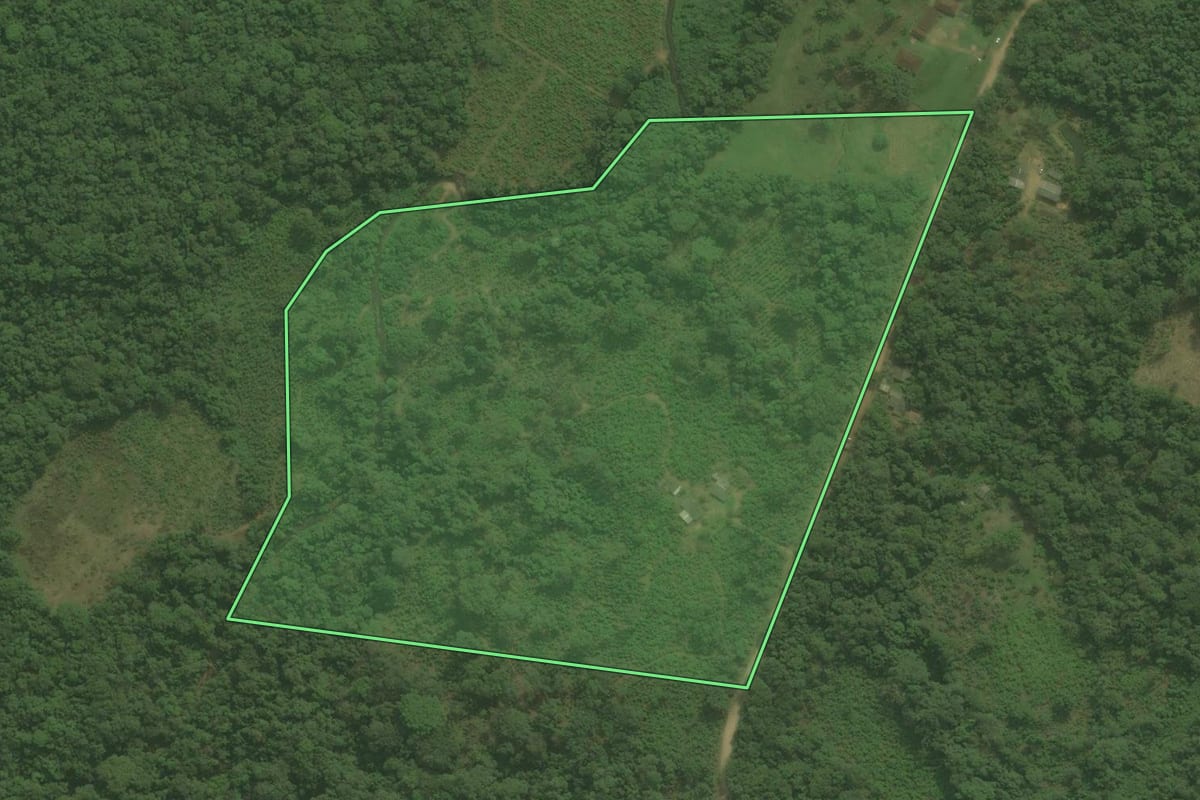 Imagem de satélite do imóvel rural em Guaraqueçaba (PR), com o contorno declarado no CAR desenhado por cima.