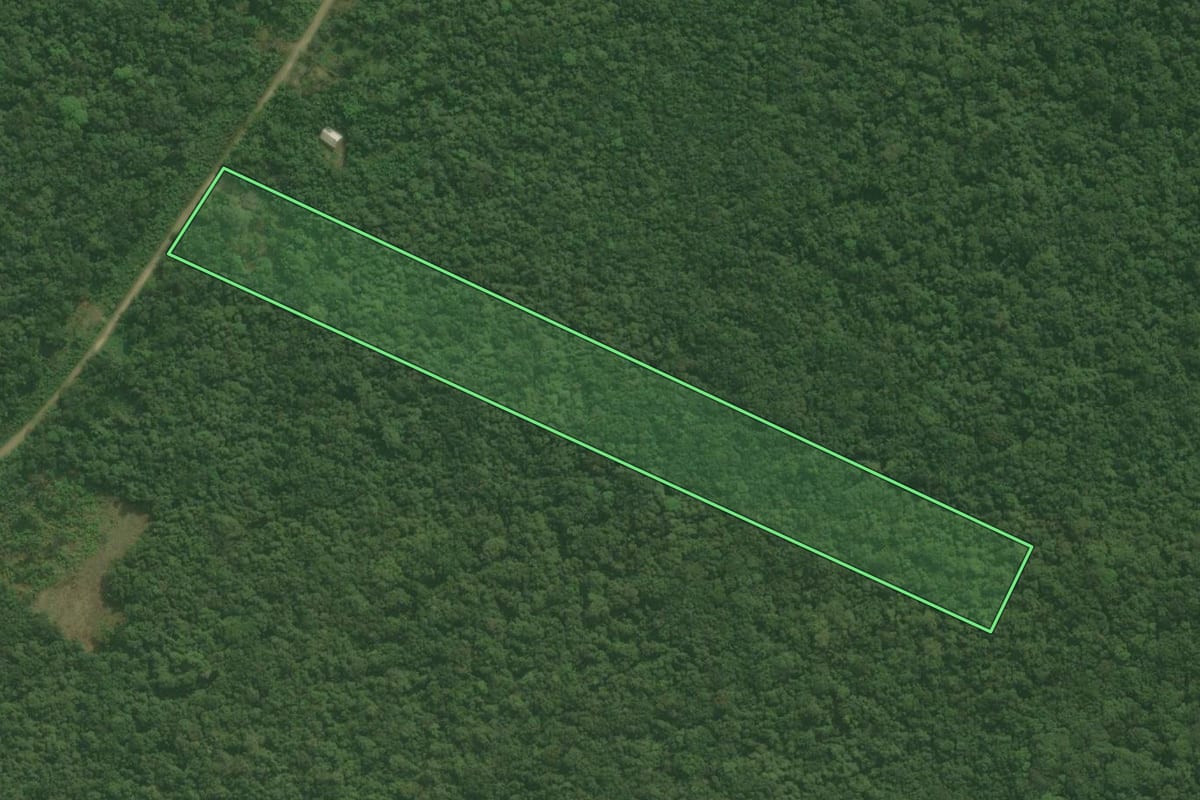 Imagem de satélite do imóvel rural em Guaraqueçaba (PR), com o contorno declarado no CAR desenhado por cima.