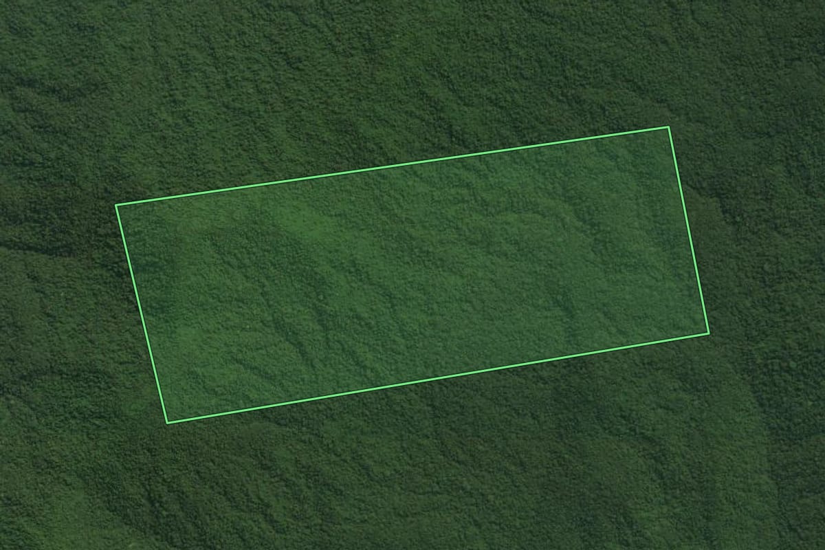 Imagem de satélite do imóvel rural em Guaraqueçaba (PR), com o contorno declarado no CAR desenhado por cima.