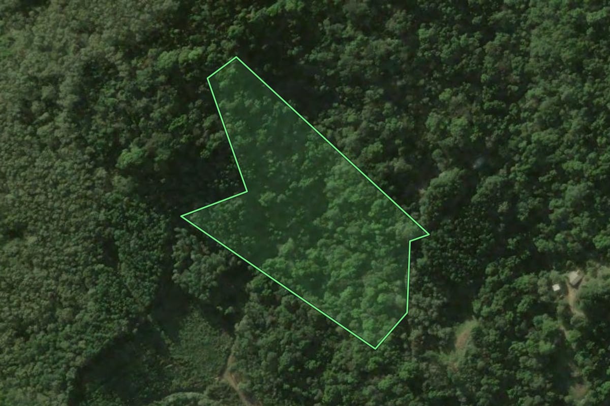 Imagem de satélite do imóvel rural em Bocaiúva do Sul (PR), com o contorno declarado no CAR desenhado por cima.