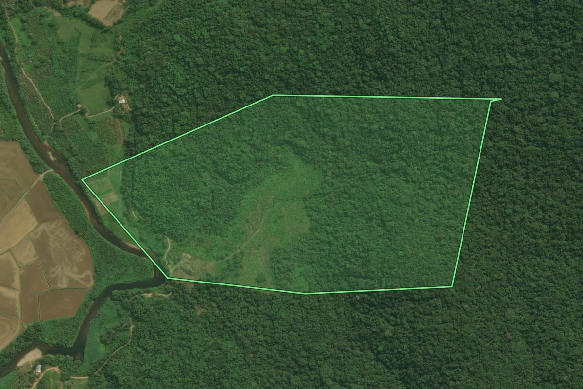 Imagem de satélite do imóvel rural em Guaraqueçaba (PR), com o contorno declarado no CAR desenhado por cima.