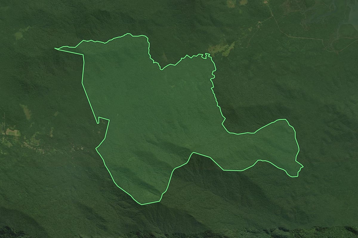 Imagem de satélite do imóvel rural em Guaraqueçaba (PR), com o contorno declarado no CAR desenhado por cima.