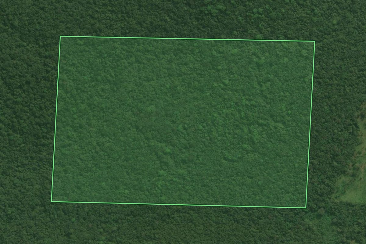Imagem de satélite do imóvel rural em Guaraqueçaba (PR), com o contorno declarado no CAR desenhado por cima.