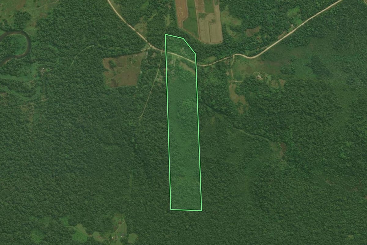 Imagem de satélite do imóvel rural em Guaraqueçaba (PR), com o contorno declarado no CAR desenhado por cima.