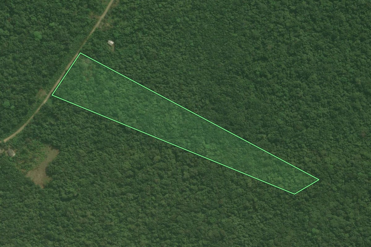 Imagem de satélite do imóvel rural em Guaraqueçaba (PR), com o contorno declarado no CAR desenhado por cima.