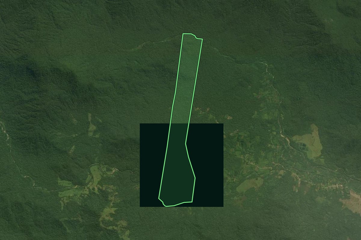 Imagem de satélite do imóvel rural em Guaraqueçaba (PR), com o contorno declarado no CAR desenhado por cima.
