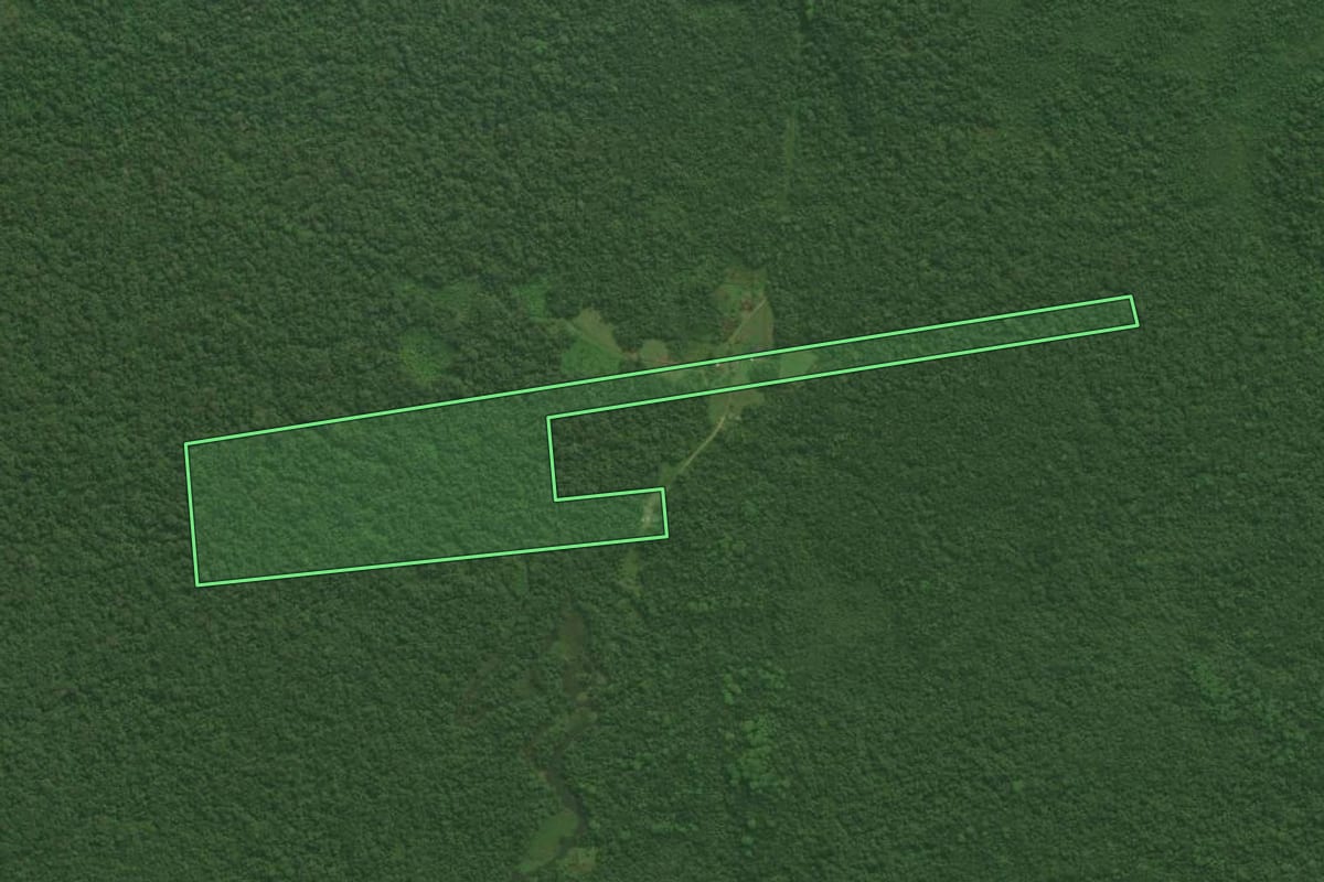Imagem de satélite do imóvel rural em Guaraqueçaba (PR), com o contorno declarado no CAR desenhado por cima.