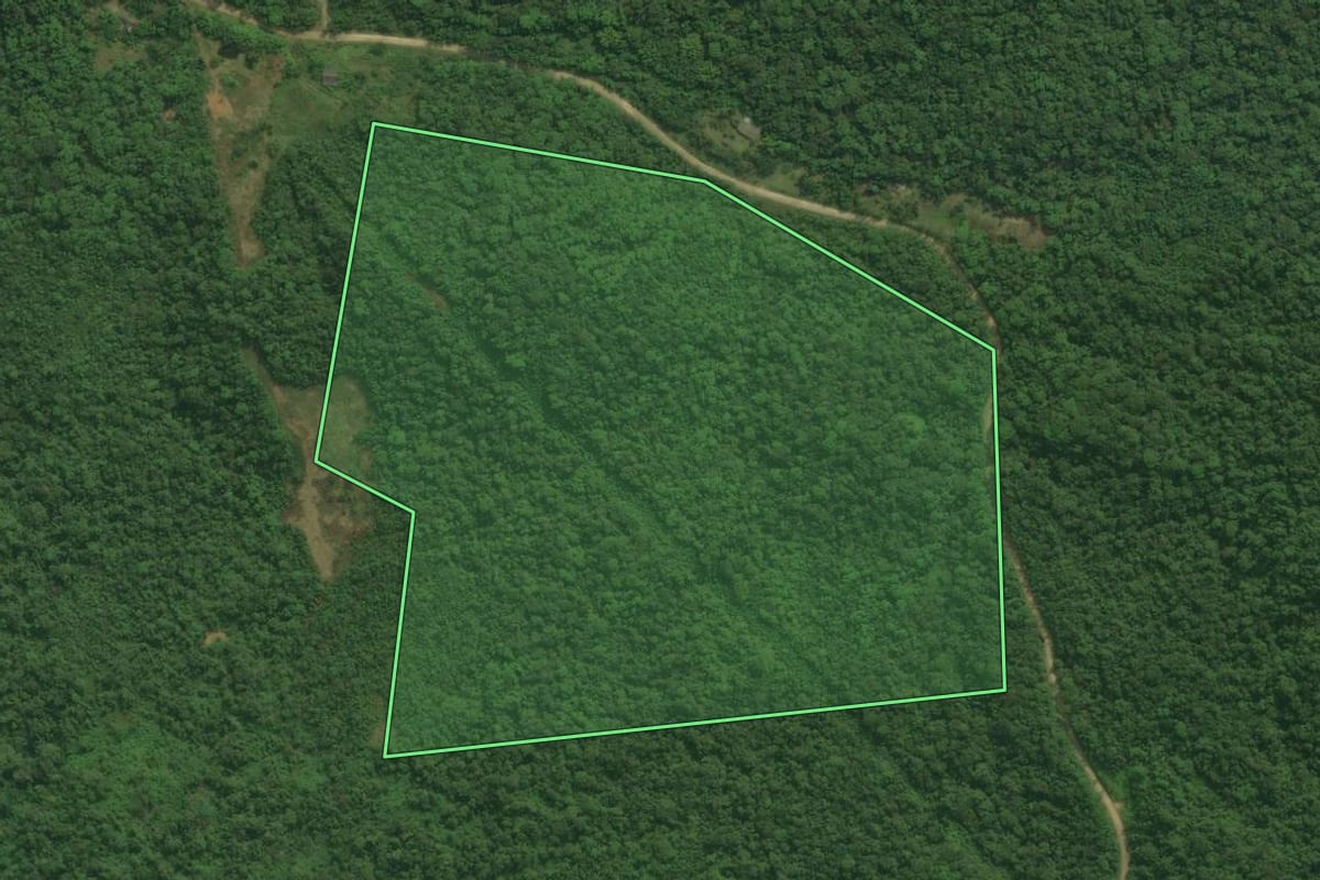 Imagem de satélite do imóvel rural em Guaraqueçaba (PR), com o contorno declarado no CAR desenhado por cima.