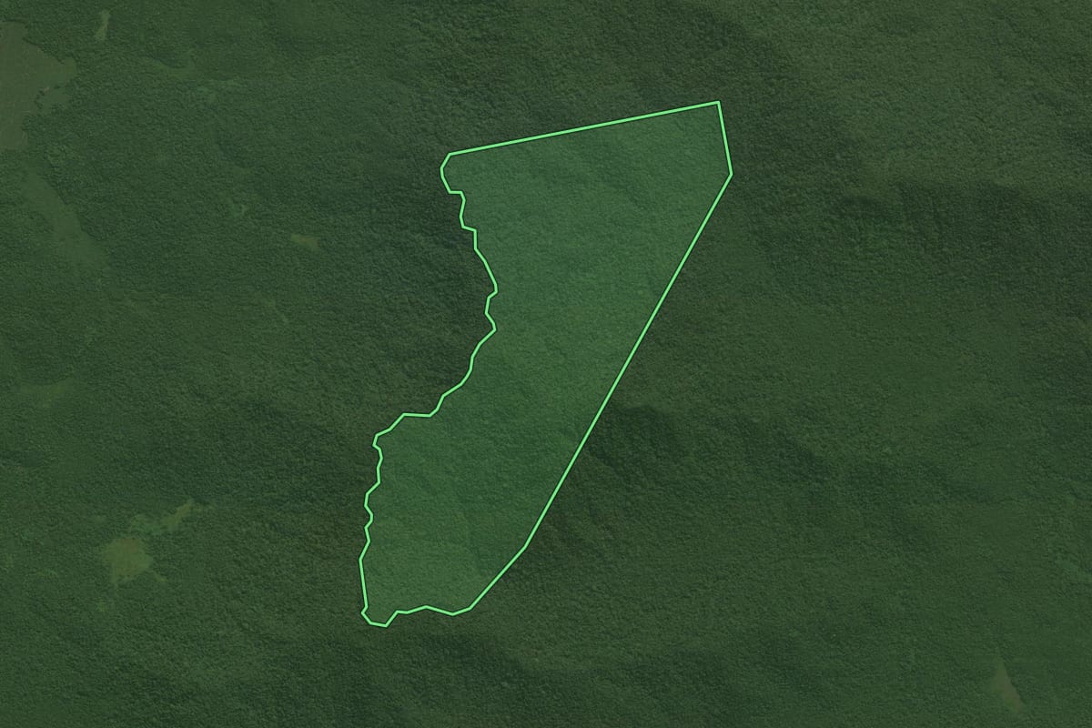 Imagem de satélite do imóvel rural em Guaraqueçaba (PR), com o contorno declarado no CAR desenhado por cima.