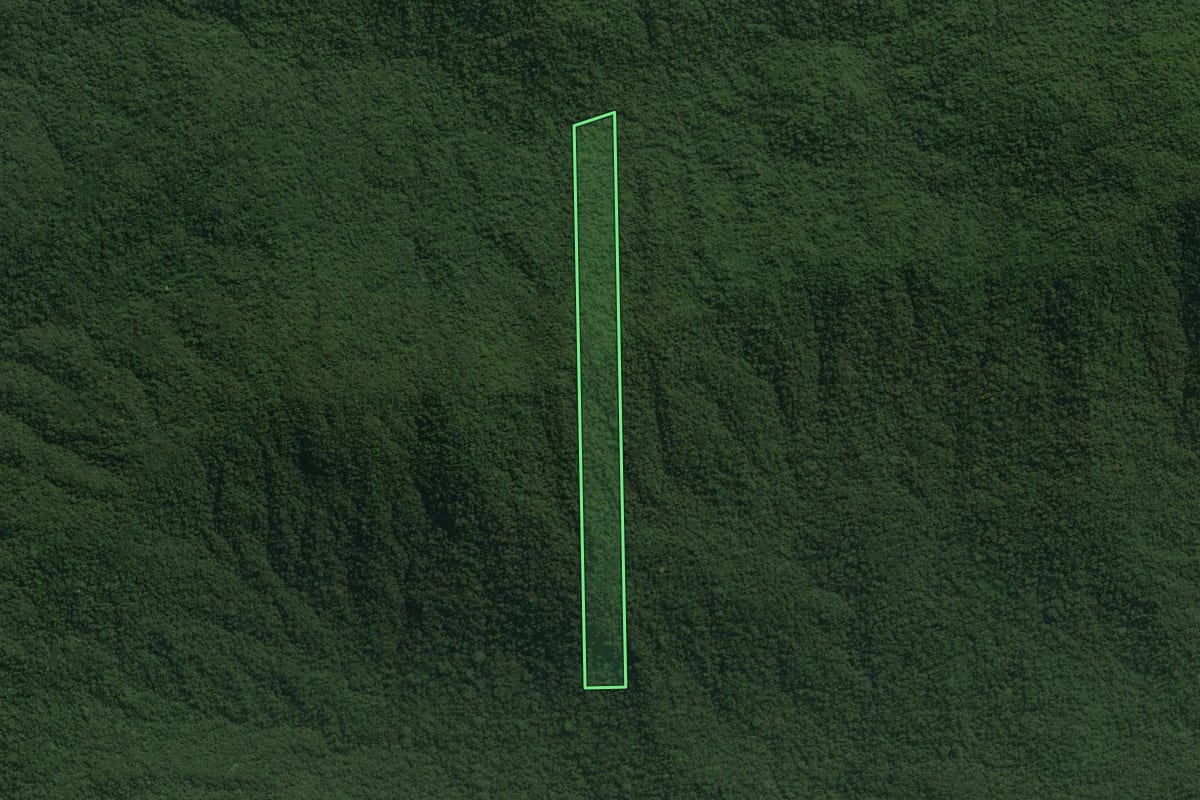 Imagem de satélite do imóvel rural em Guaraqueçaba (PR), com o contorno declarado no CAR desenhado por cima.