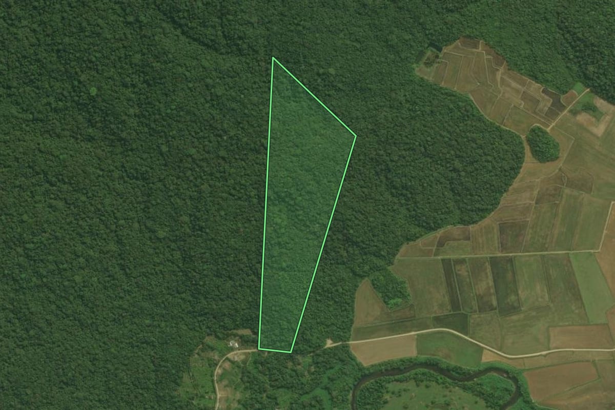 Imagem de satélite do imóvel rural em Guaraqueçaba (PR), com o contorno declarado no CAR desenhado por cima.