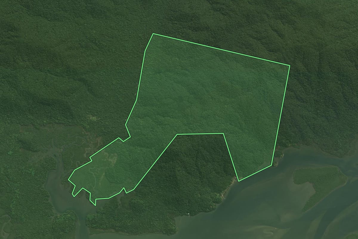 Imagem de satélite do imóvel rural em Guaraqueçaba (PR), com o contorno declarado no CAR desenhado por cima.