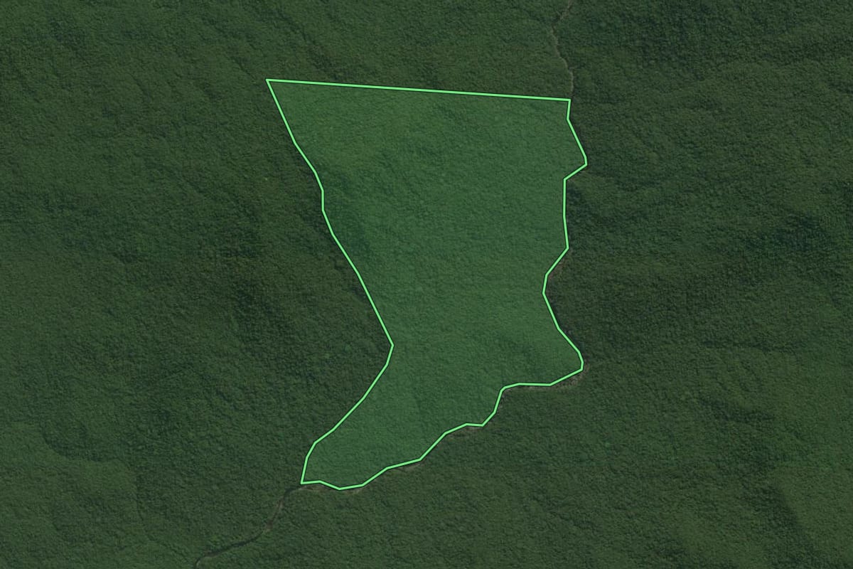 Imagem de satélite do imóvel rural em Guaraqueçaba (PR), com o contorno declarado no CAR desenhado por cima.