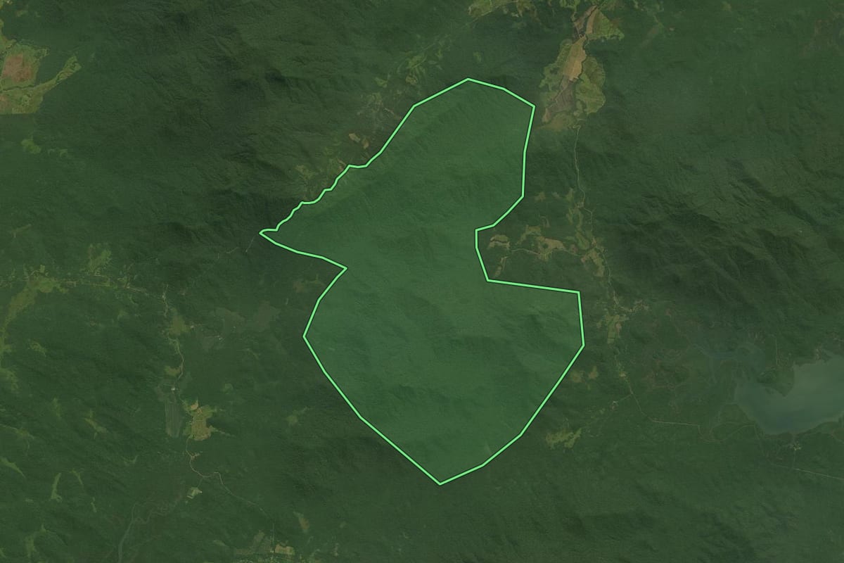 Imagem de satélite do imóvel rural em Guaraqueçaba (PR), com o contorno declarado no CAR desenhado por cima.